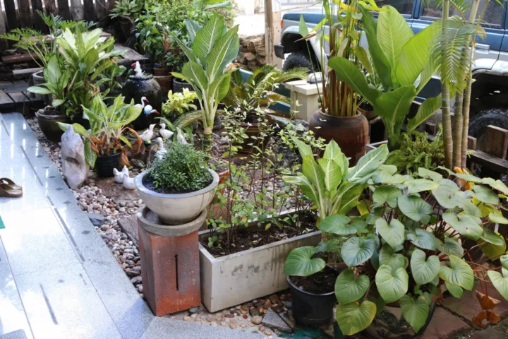 front yard container garden
