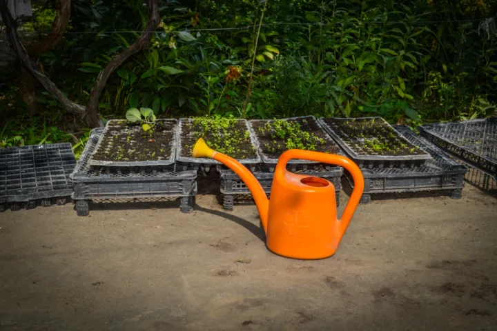 ibc container ideas garden