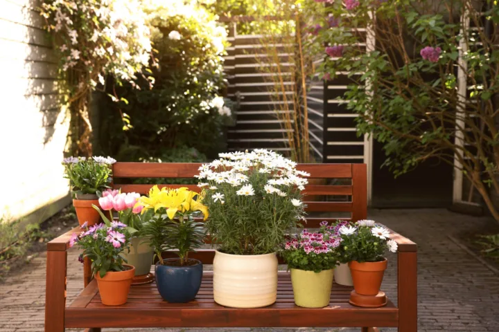 patio container garden
