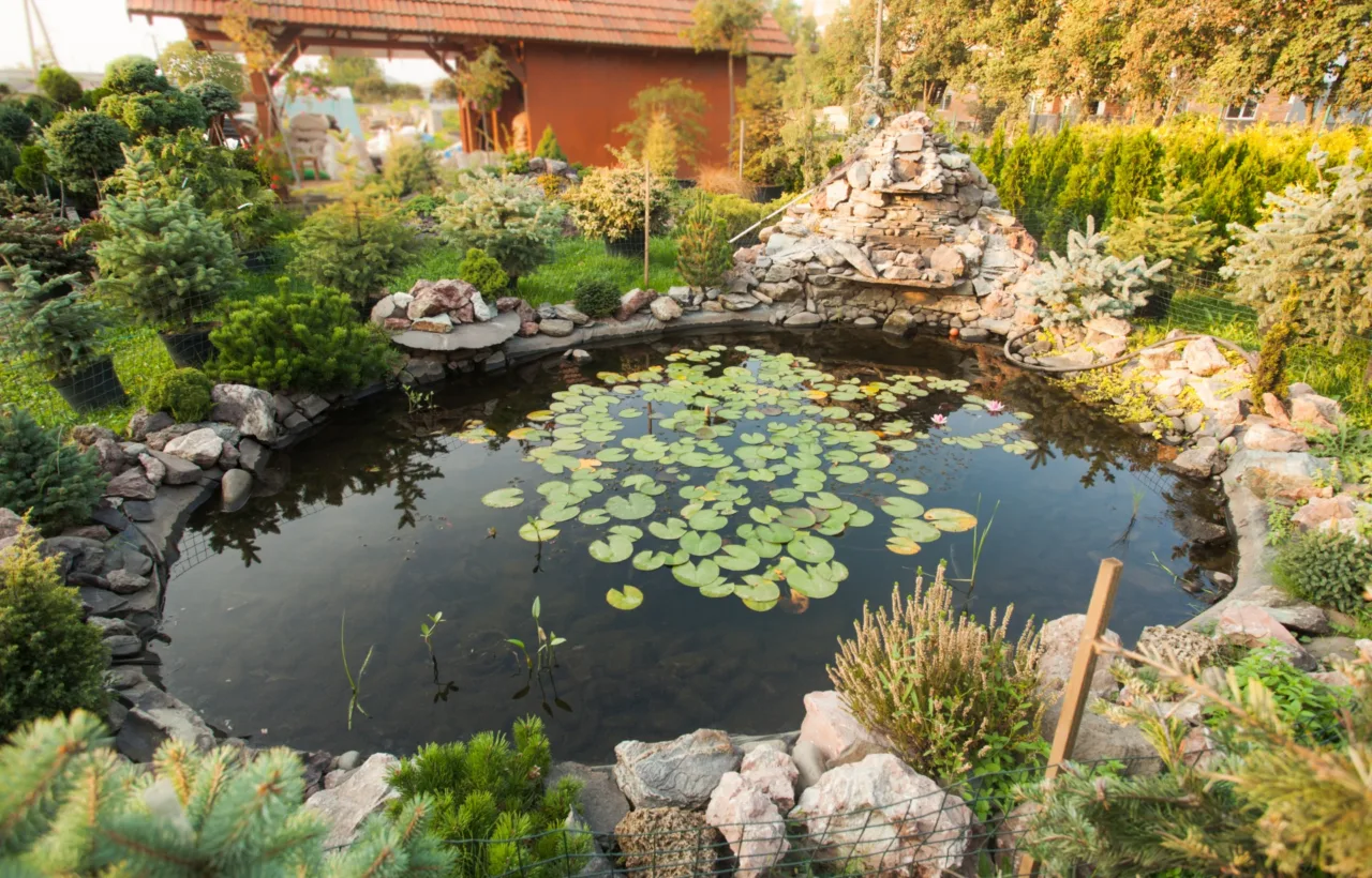 patio pond ideas container water gardens