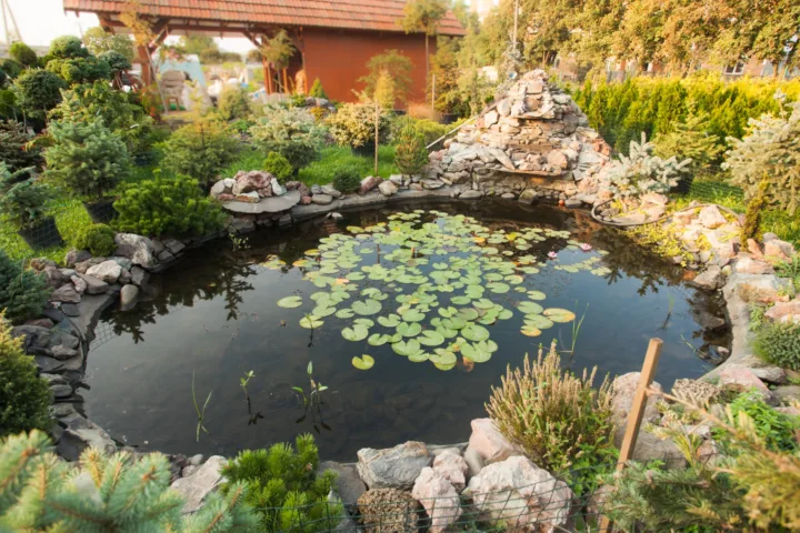 patio pond ideas container water gardens
