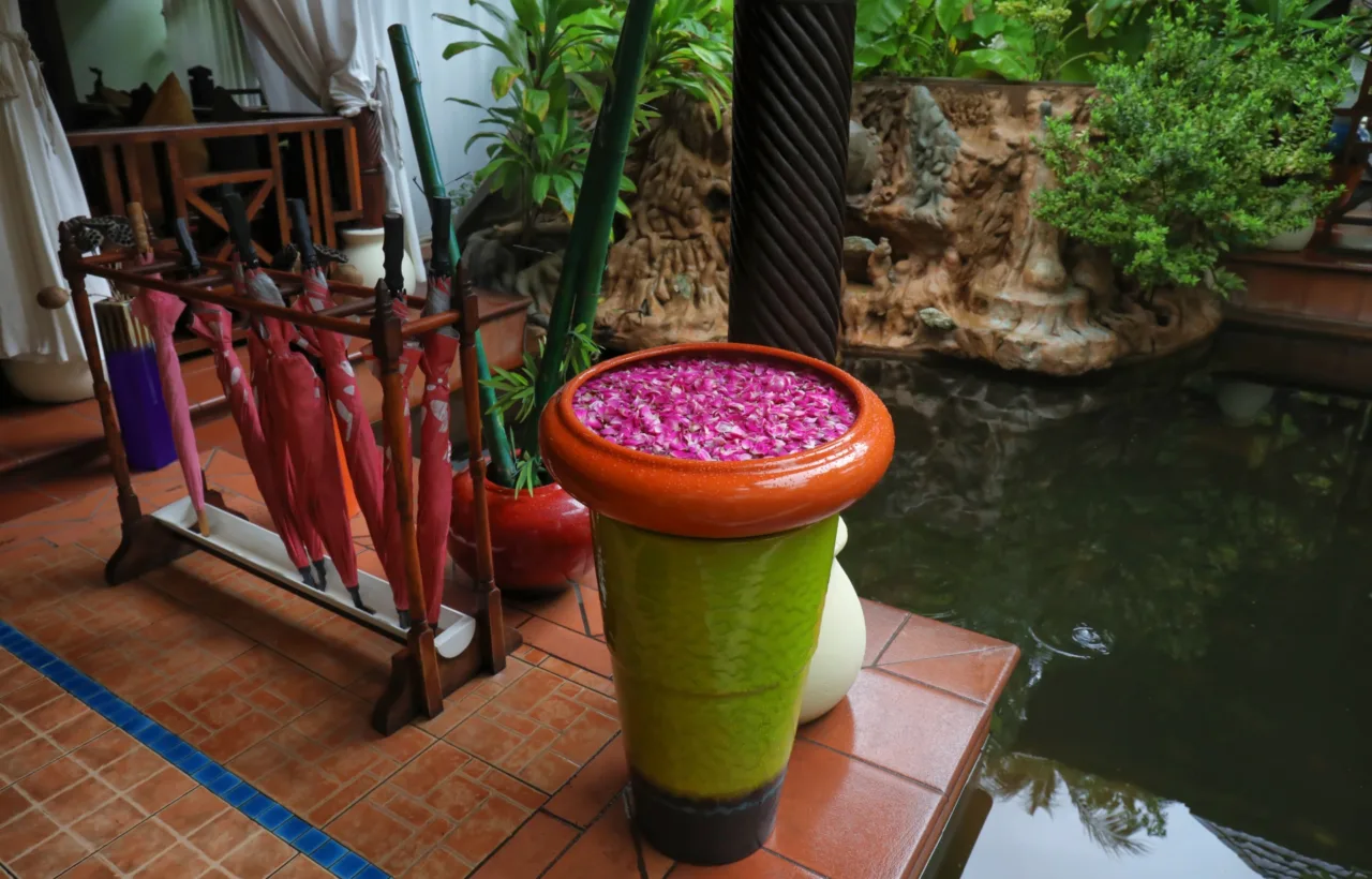 patio ponds container