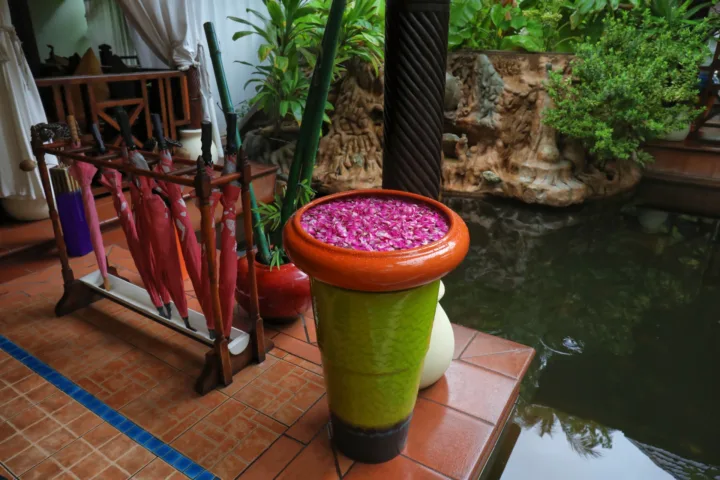 patio ponds container