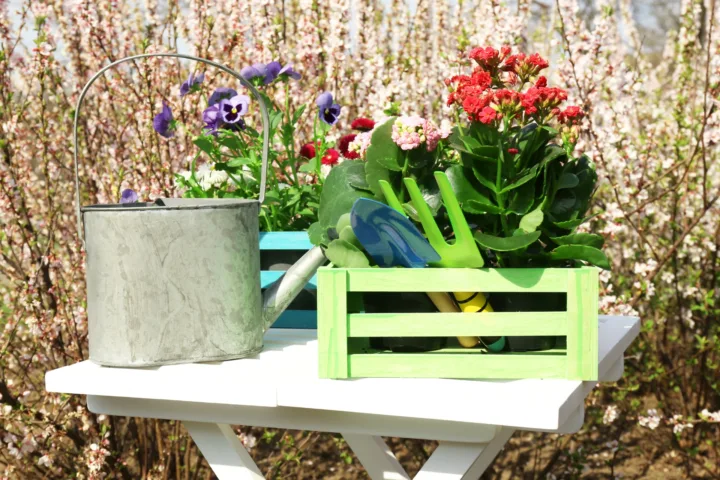 plant container ideas outdoors