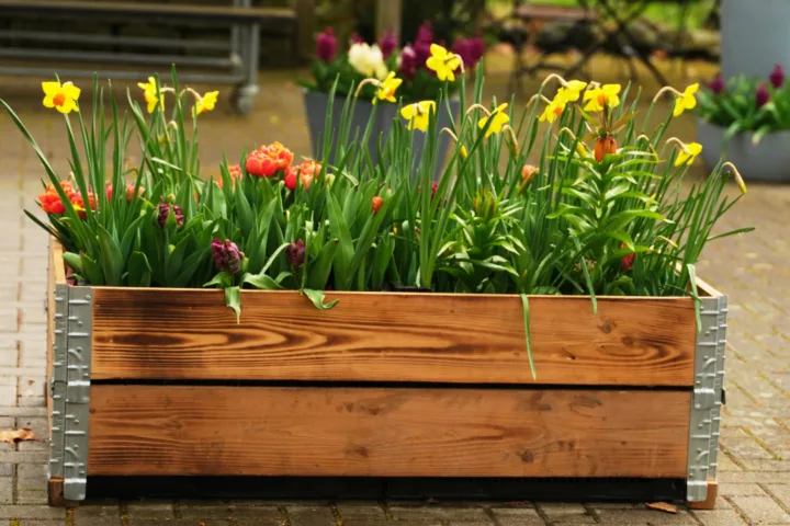 raised container garden