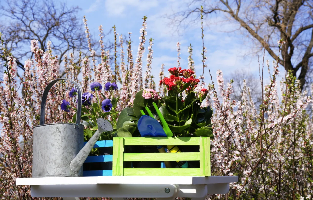 spring container gardens