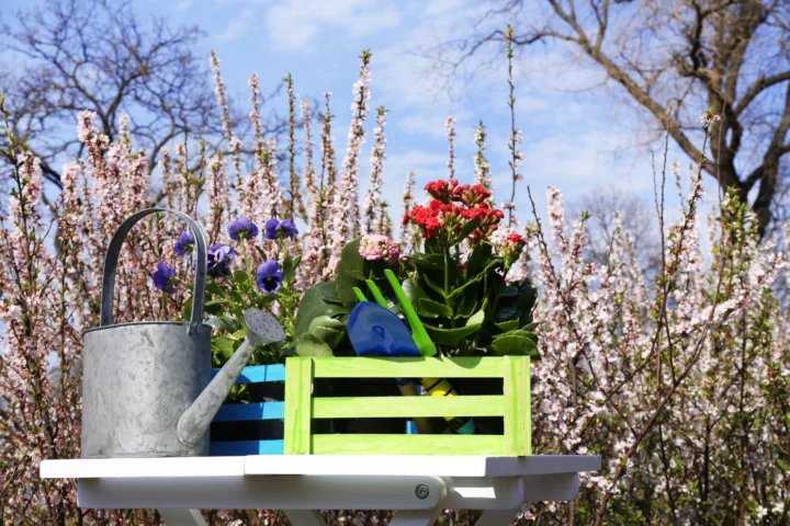 spring container gardens