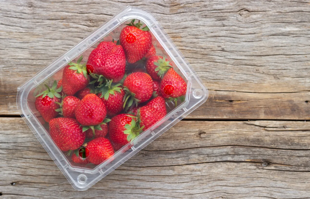 strawberry container