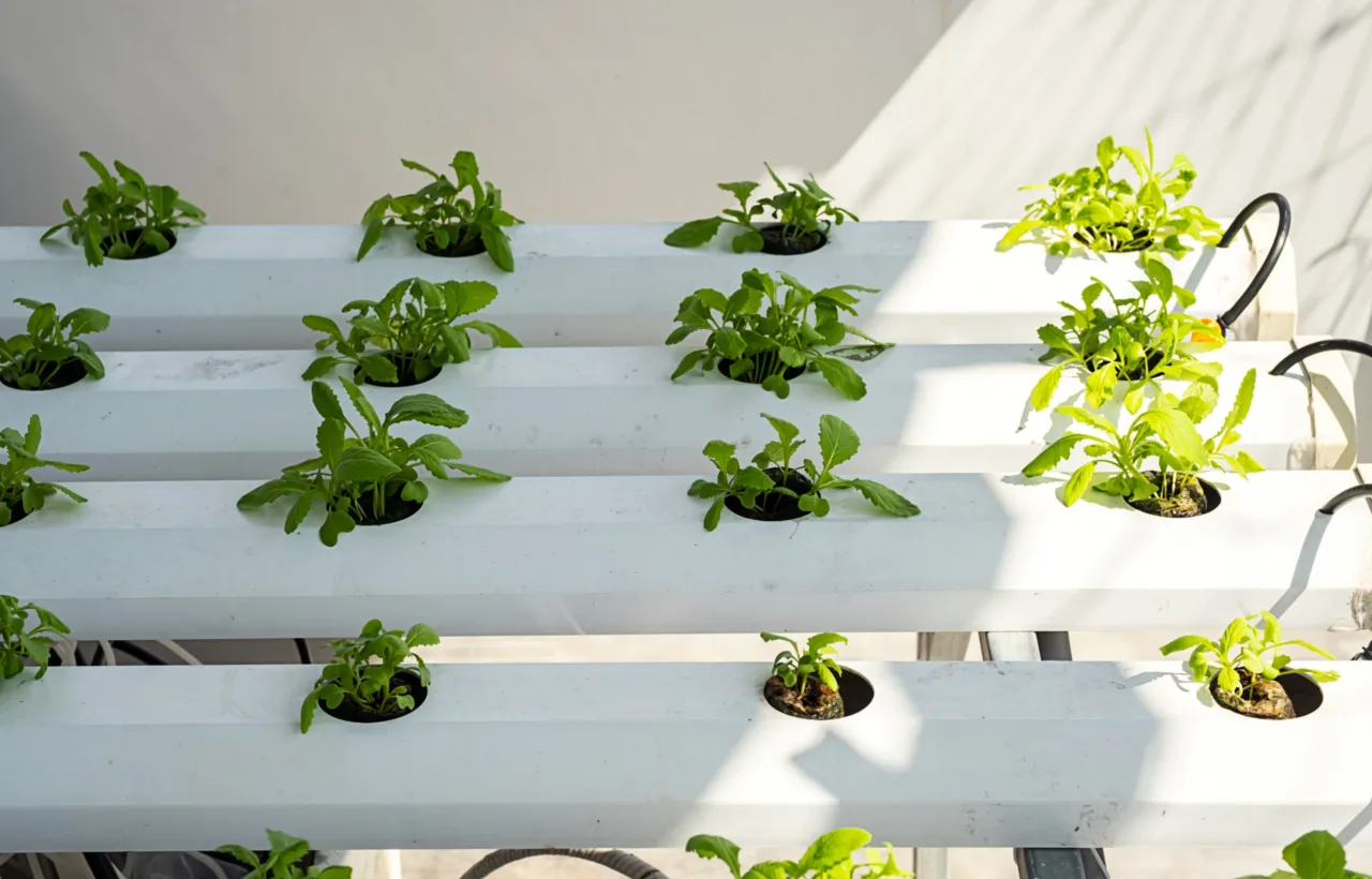 apartment balcony garden diy