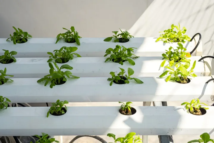 apartment balcony garden diy