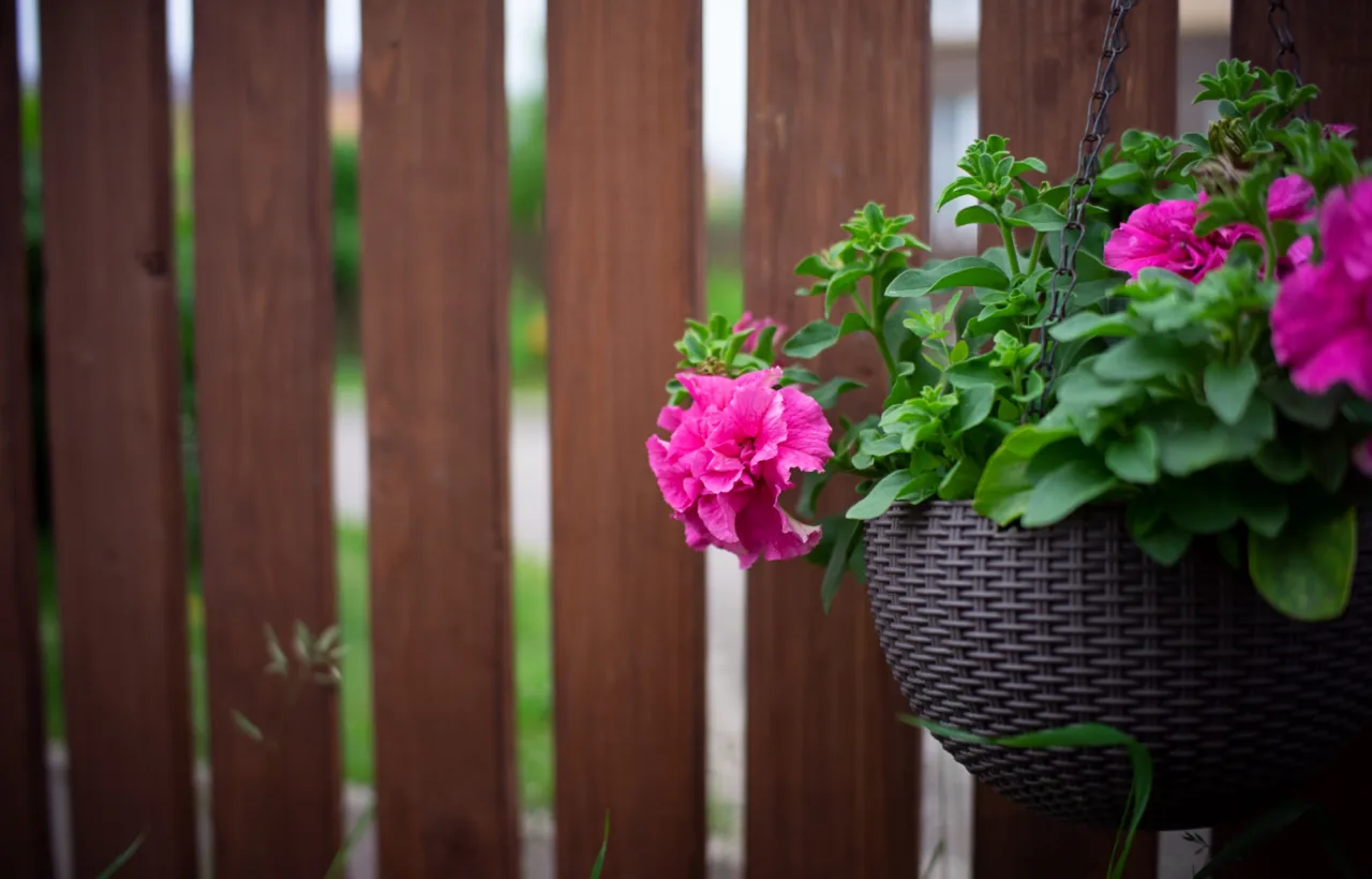 balcony flower garden