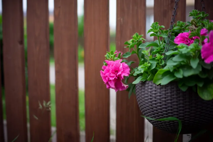 balcony flower garden