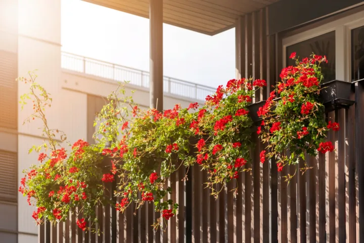 balcony garden design