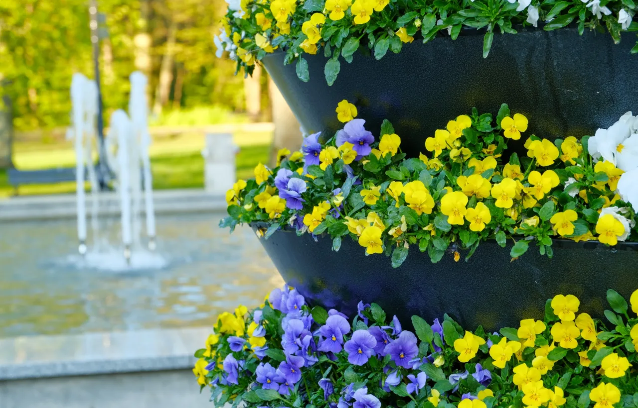 balcony garden flowers