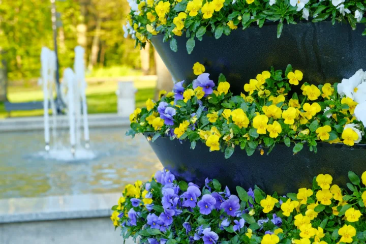 balcony garden flowers