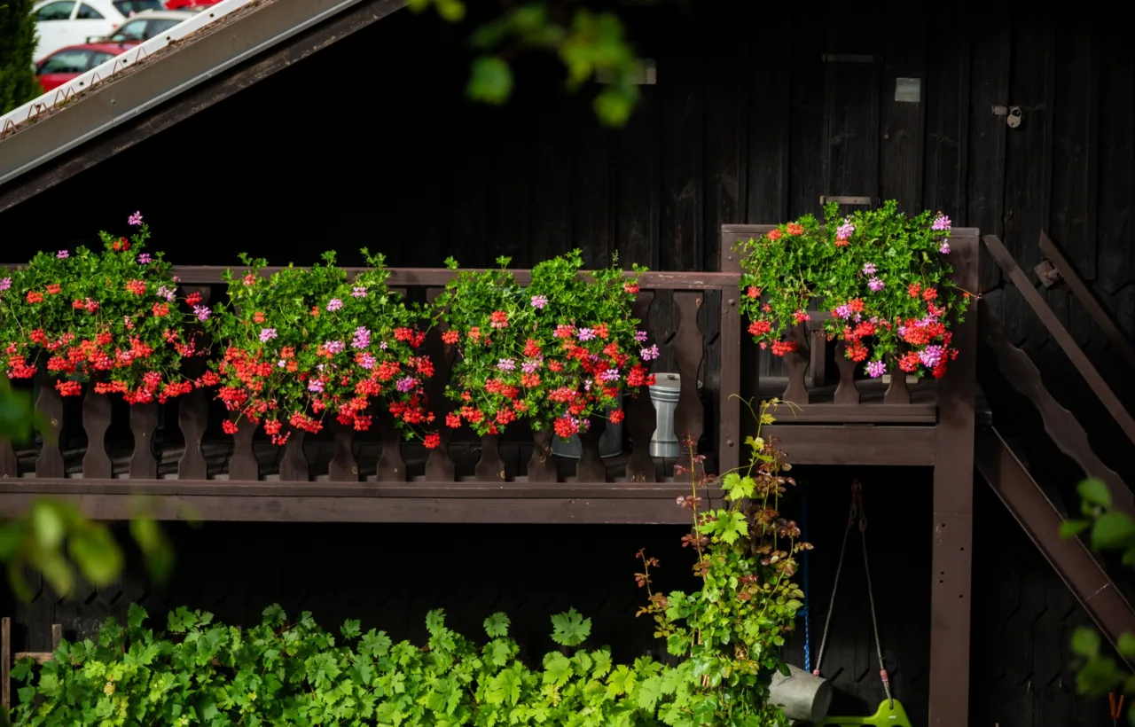 balcony garden ideas