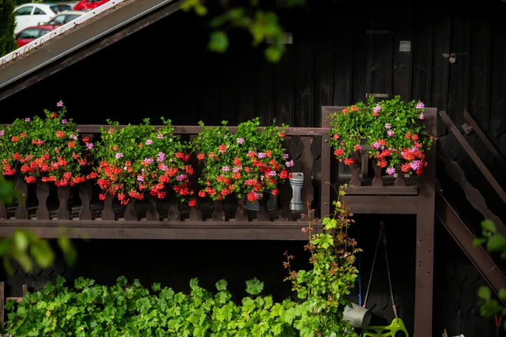 balcony garden ideas