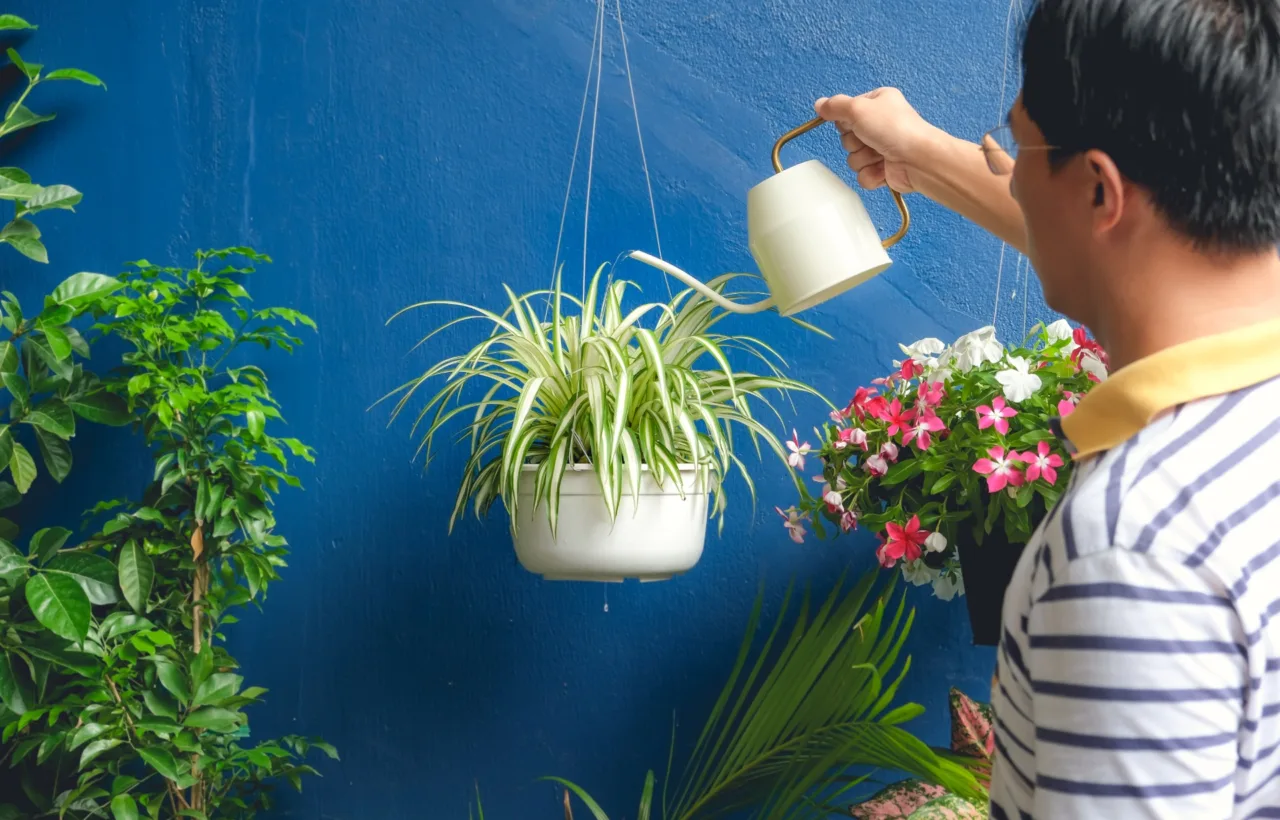 balcony garden ideas indian