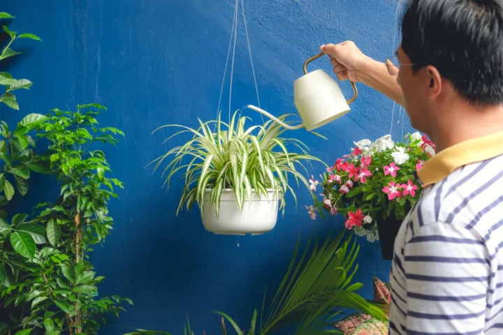 balcony garden ideas indian