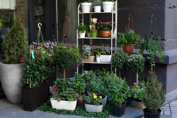 balcony garden ideas terraces