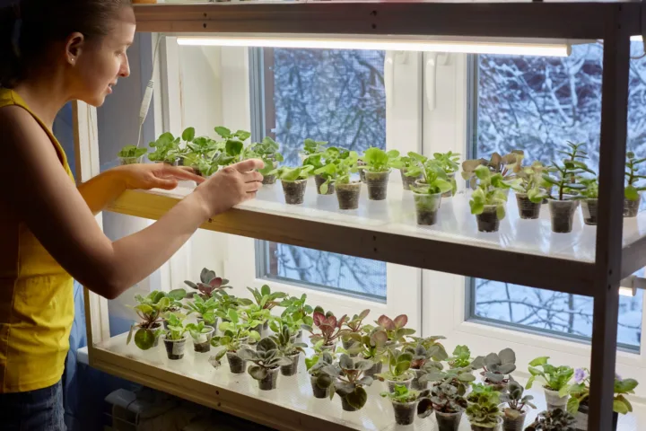 balcony hydroponic garden