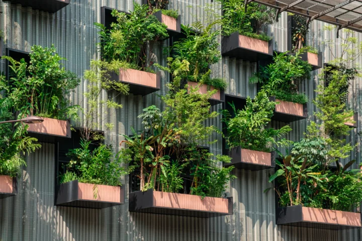 balcony vertical garden