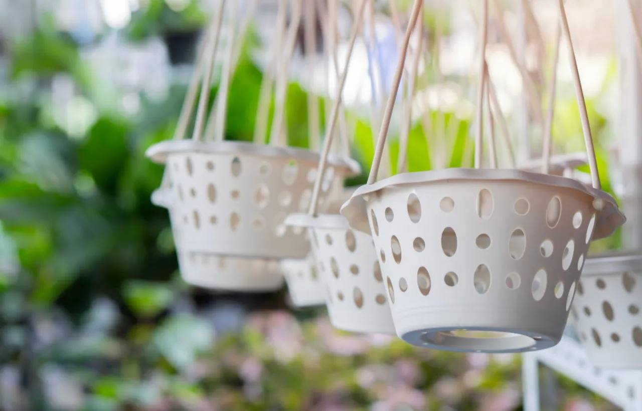 balcony wall garden ideas