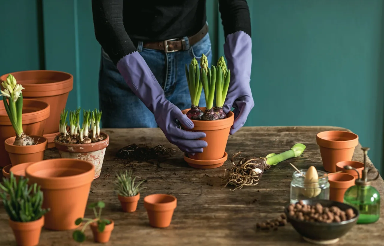 diy planting ideas