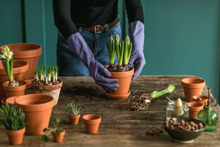 diy planting ideas