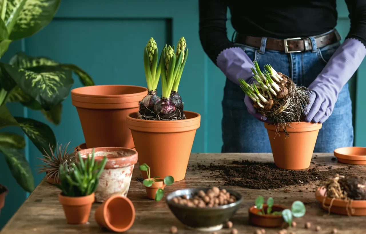 easy planting ideas