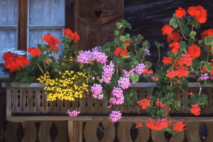 fairy garden balcony