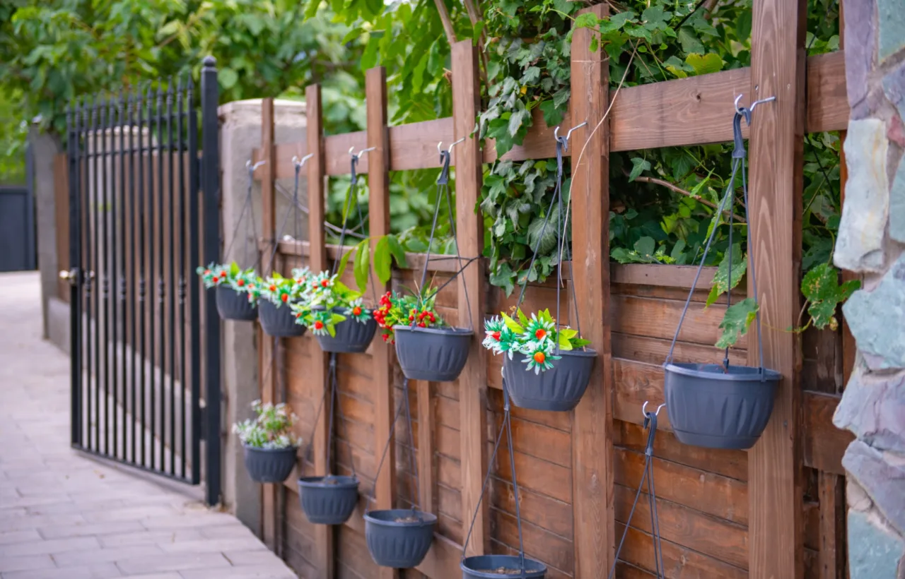 fence planting ideas