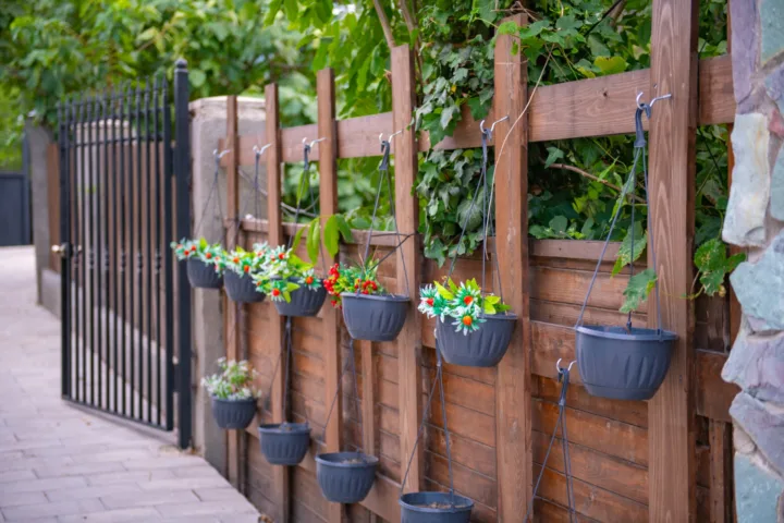 fence planting ideas