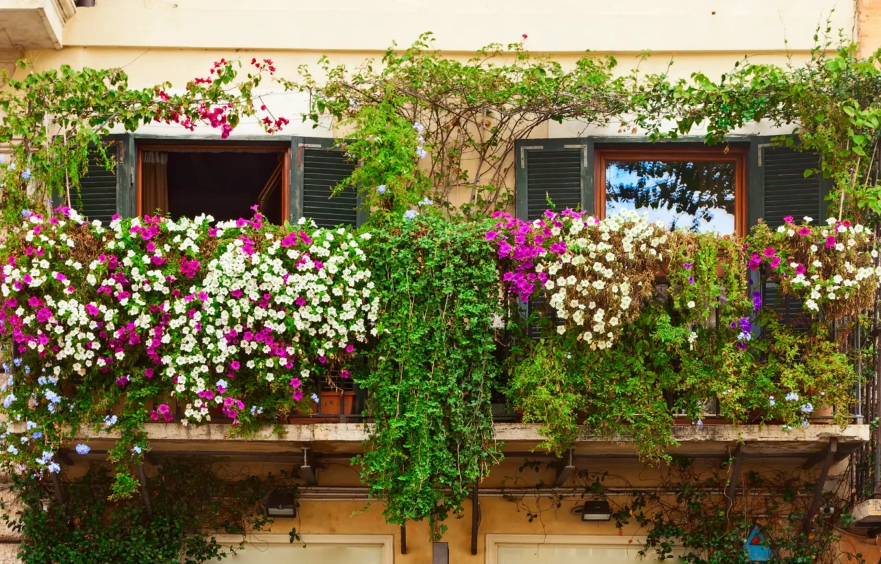 french balcony garden