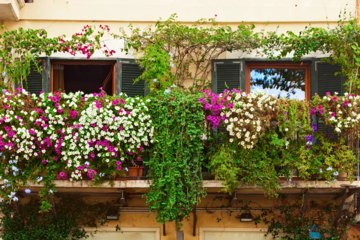 french balcony garden