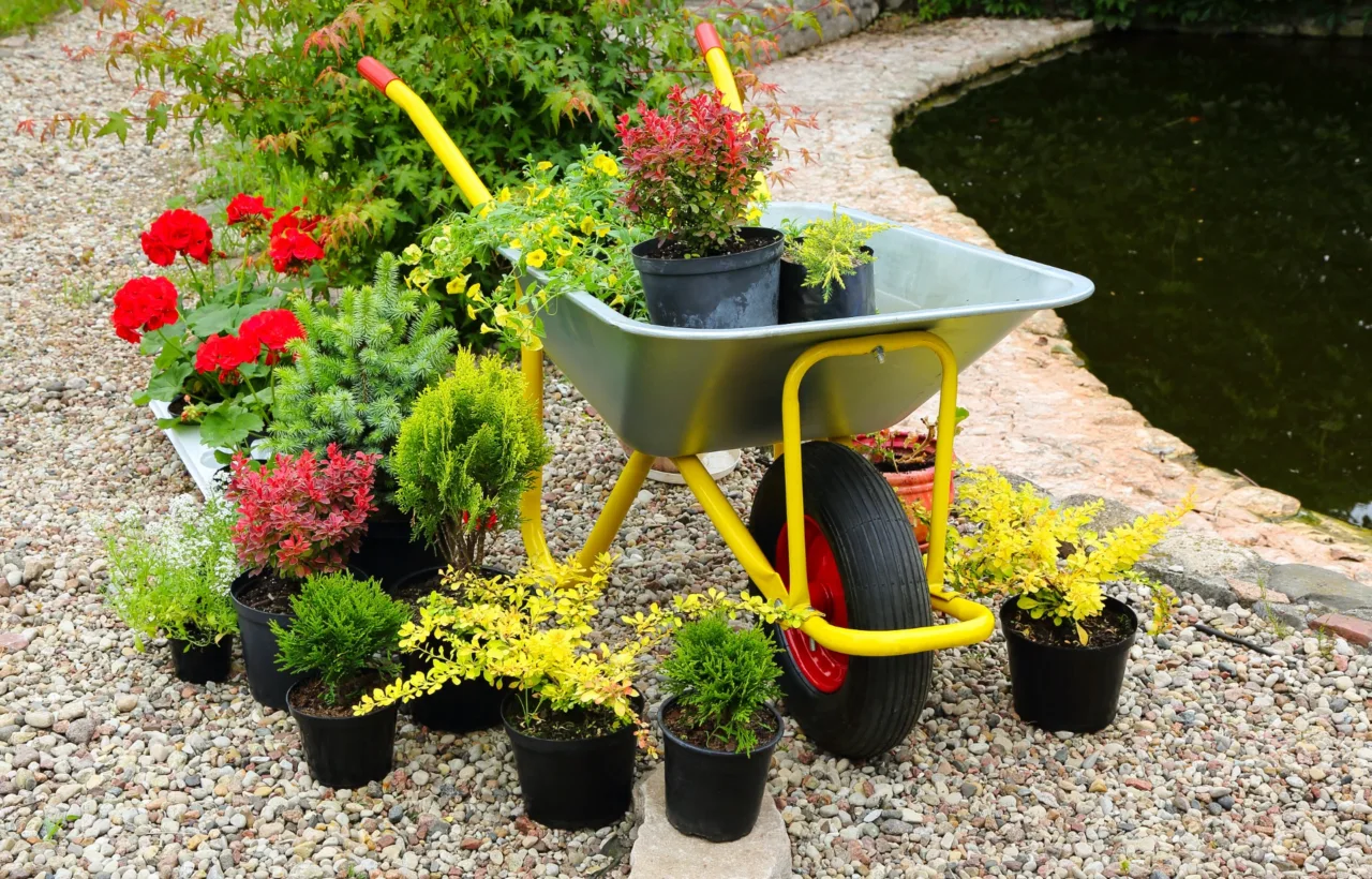 front yard planting ideas