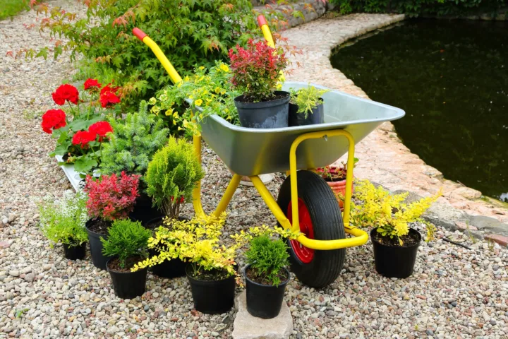 front yard planting ideas