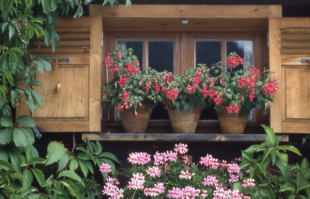 garden balcony ideas small spaces