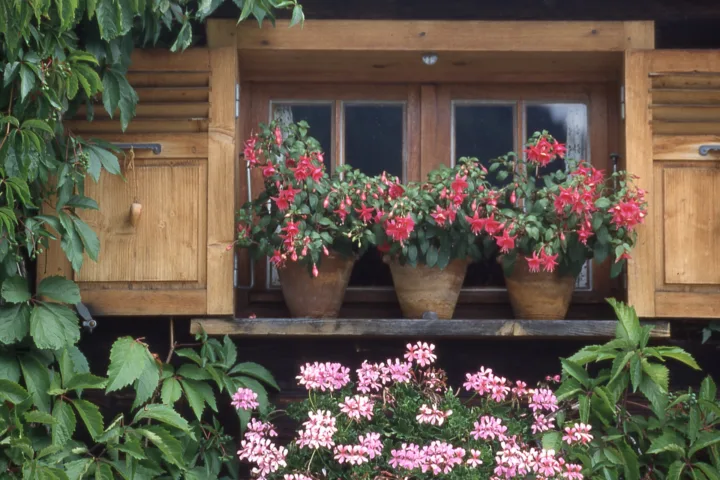 garden balcony ideas small spaces