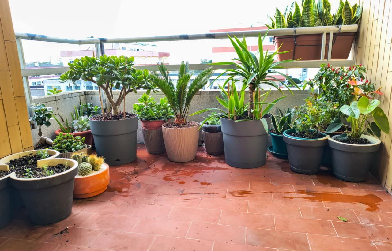 garden decor balcony