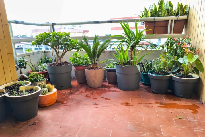 garden decor balcony