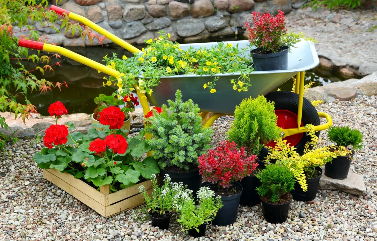 garden planting ideas
