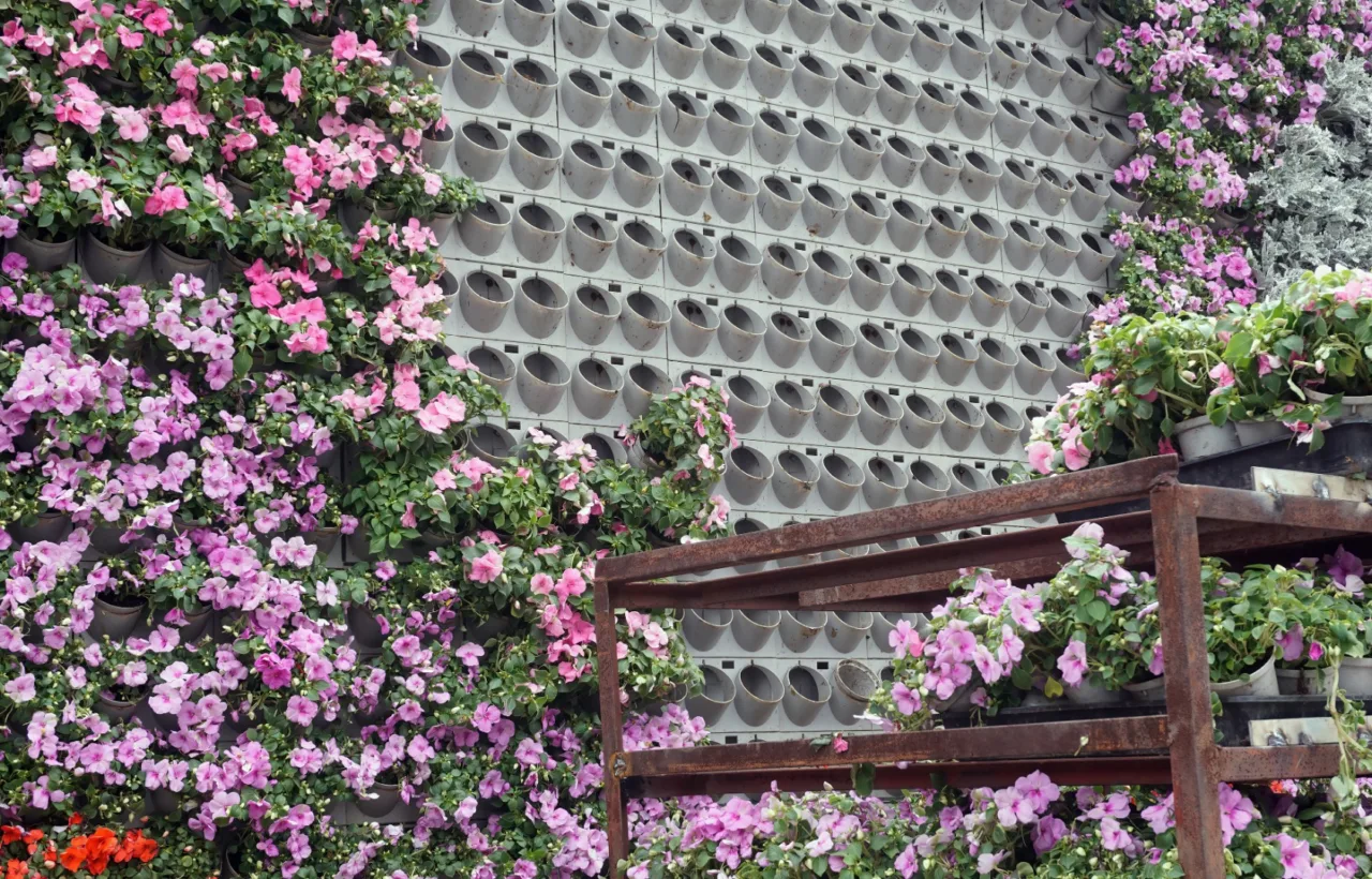 garden wall planting ideas