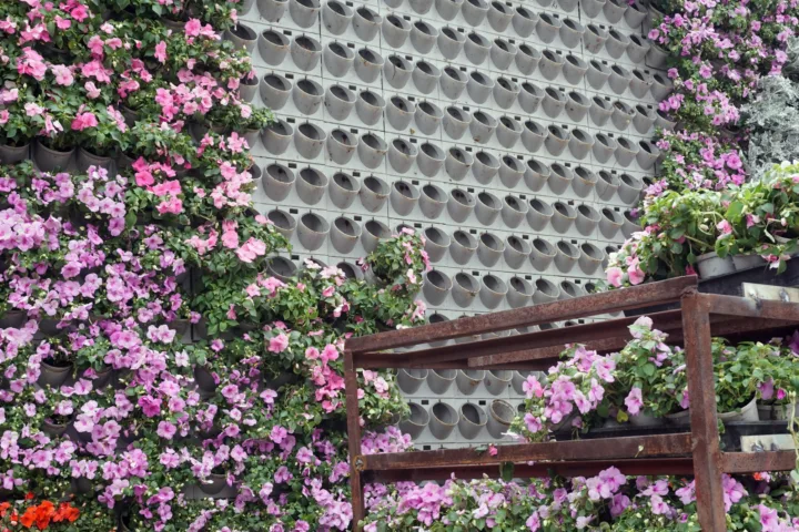 garden wall planting ideas