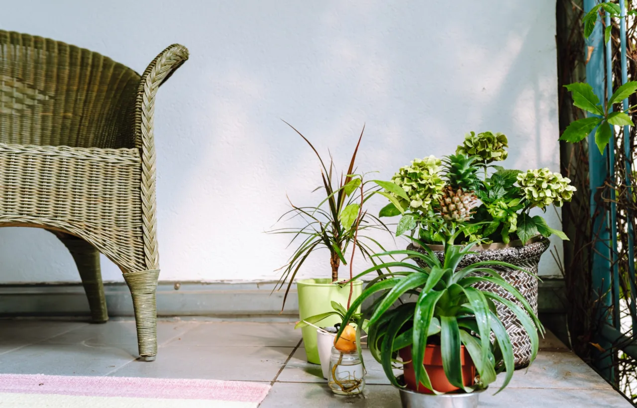 home garden balcony