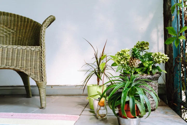 home garden balcony