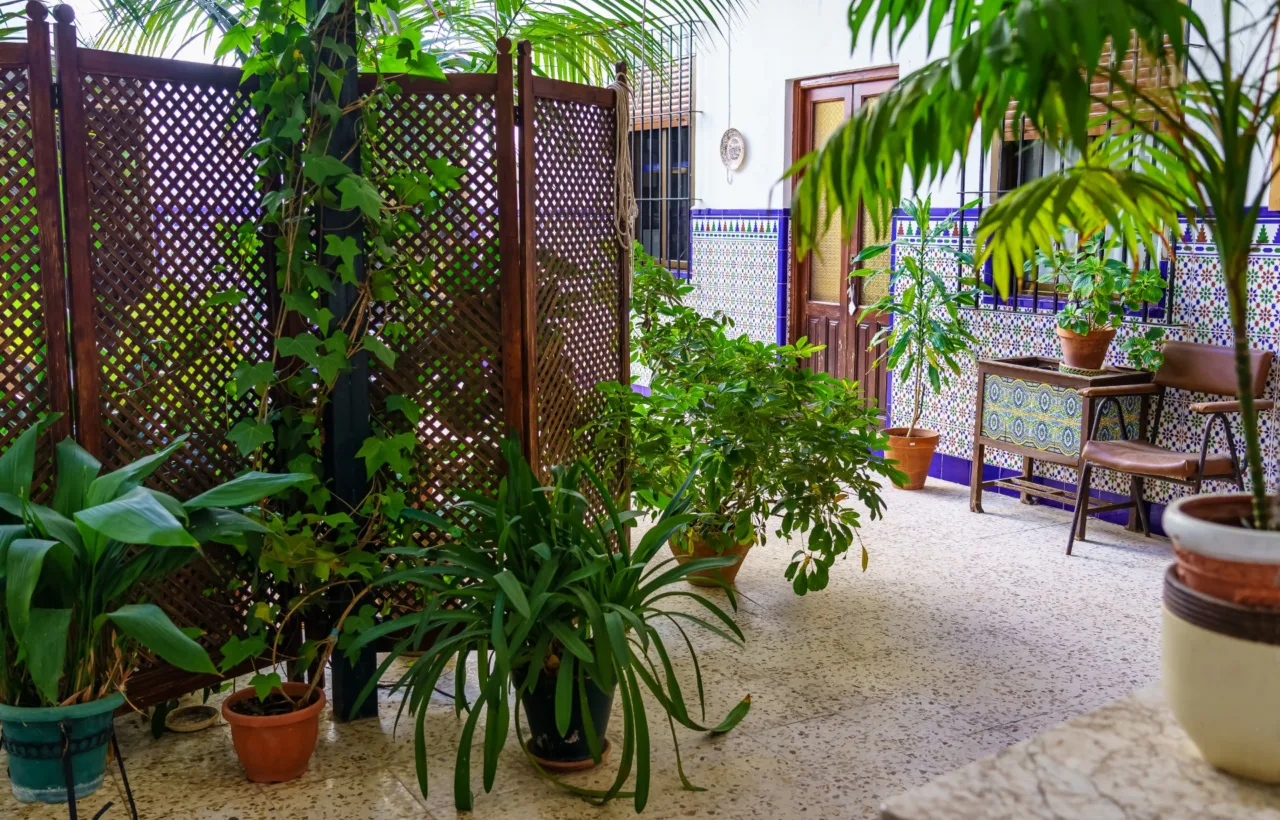 indian balcony garden