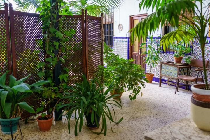 indian balcony garden
