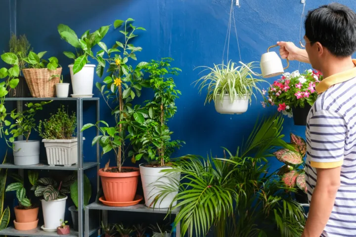 indoor balcony garden