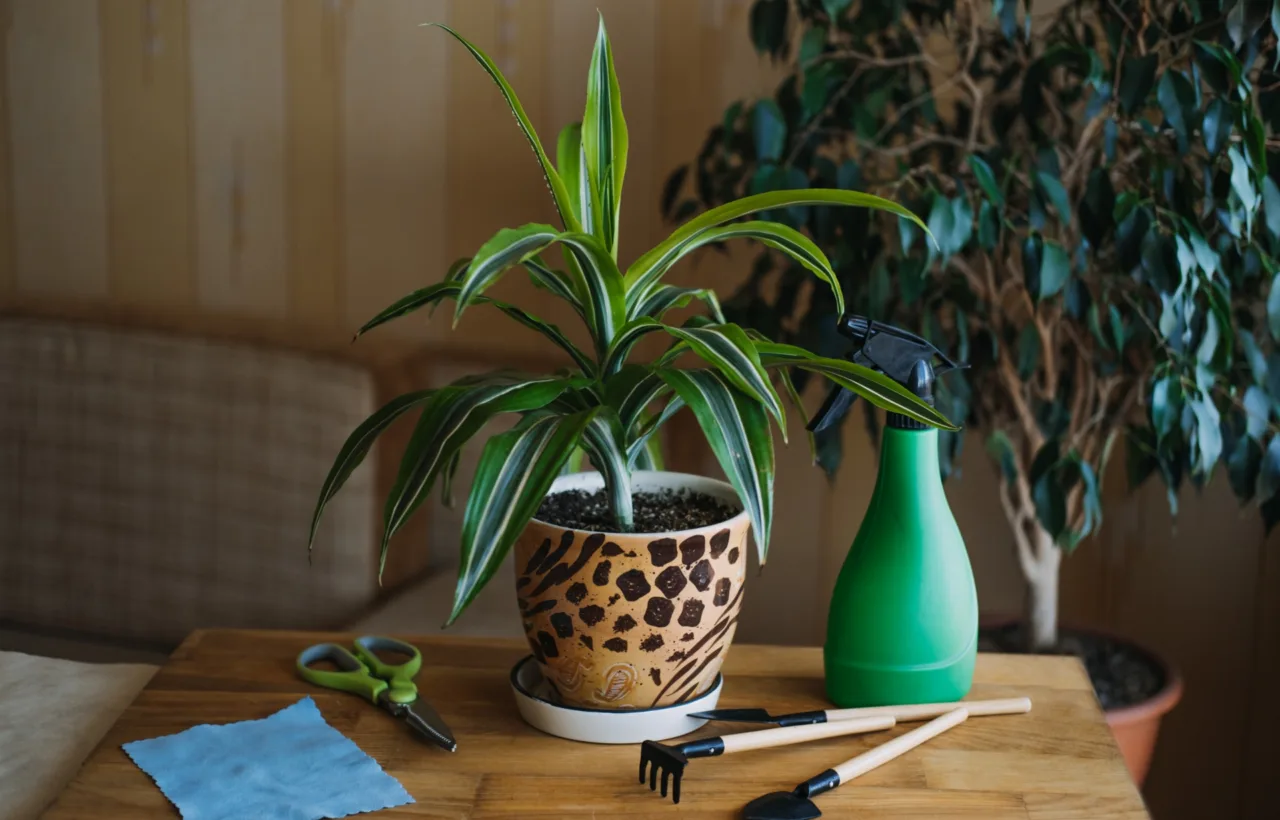 indoor planting ideas